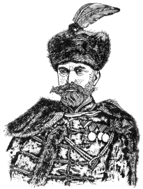Napoleon Špun Strižić