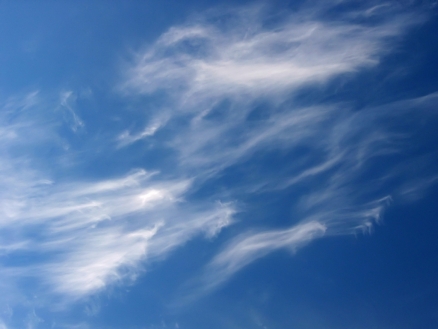 Meteorolozi