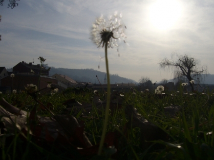 Natječaj za fotografiju