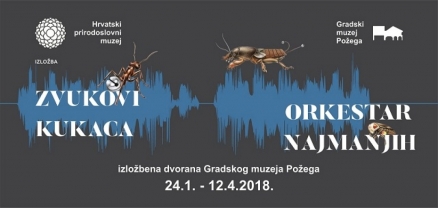 Učenici 2.b poslušali orkestar najmanjih!