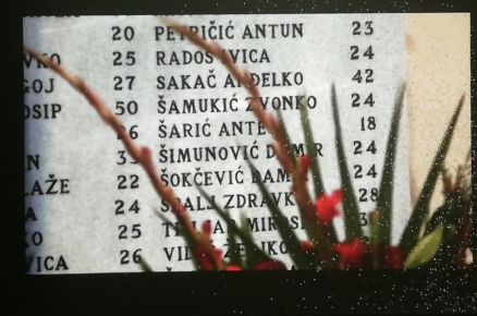 "Iz krvi i bola niknut će cvijeće, i nikada narod zaboravit neće"